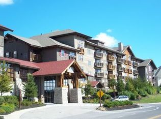 212213 Rimfire Ldg, Snowshoe, WV 26209