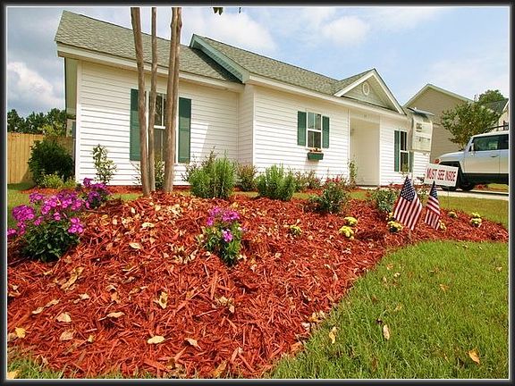 Established Flowerbeds