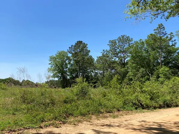 0 Pt Salter Rd, Poulan, GA 31781