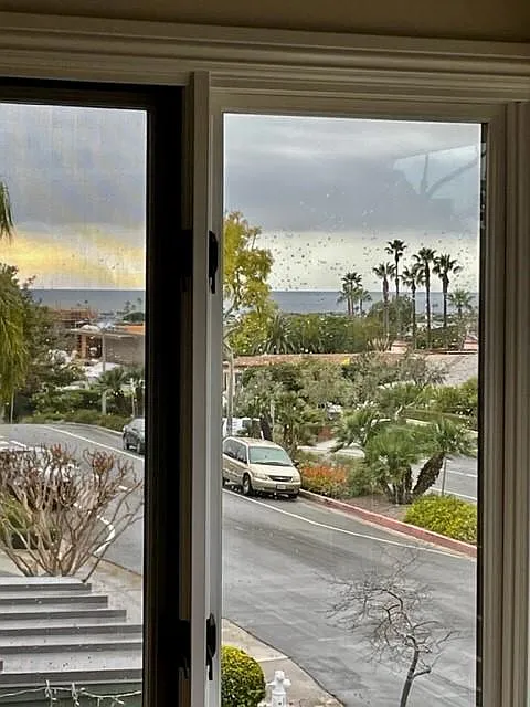 504 Avocado Ave — Photo 3