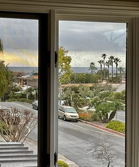 504 Avocado Ave — Photo 3