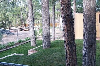 Partial view of backyard