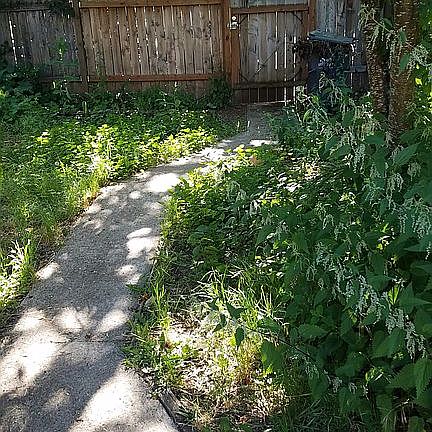 Path to Back Gate