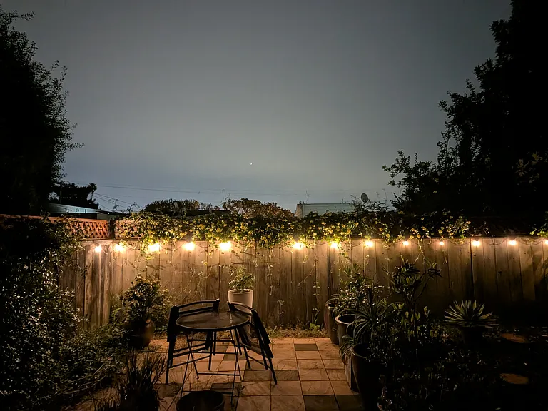 garden at night