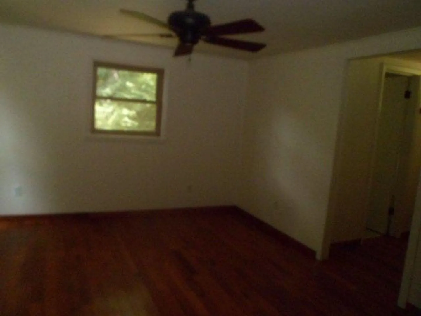 1349 Firefly Road — Photo 4