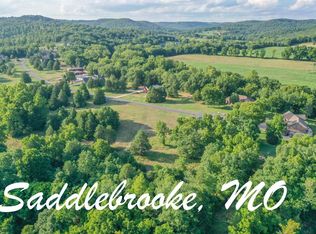 61A Mark Twain Dr, Chestnutridge, MO 65630