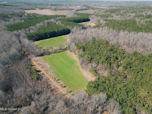 Wright St, Holly Springs, MS 38635