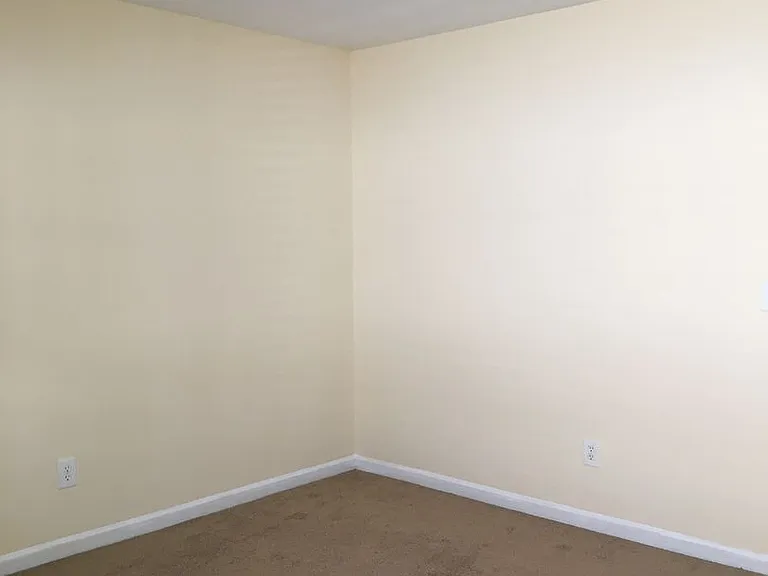 1037 Rabon Pond Dr — Photo 13
