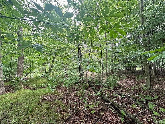 2nd image of 5416 Saunders Hill Rd