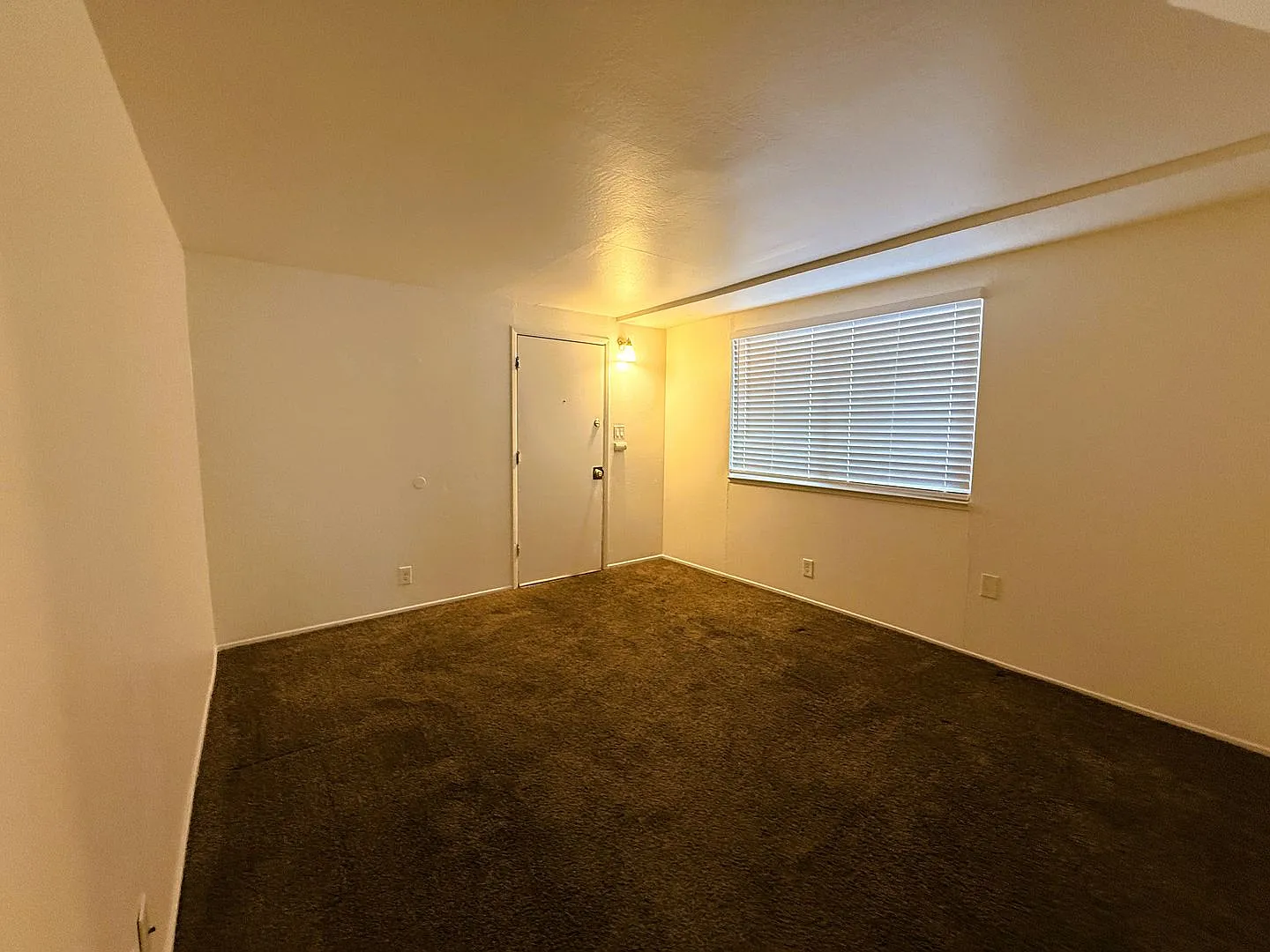 1021 Carolina St — Photo 2