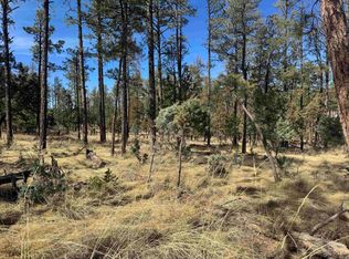 Paradise Valley Dr, Timberon, NM 88350