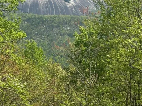 272 Grandview Cir, Traphill, NC 28685