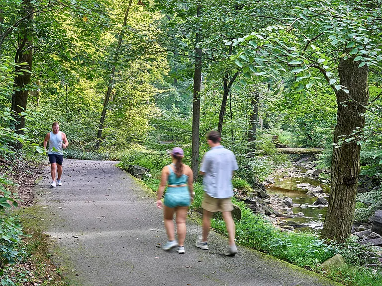 Head to Lubber Run Park Just Half a Mile Away