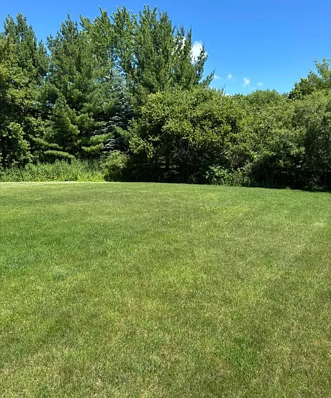 2574 Telluride Trl — Photo 4
