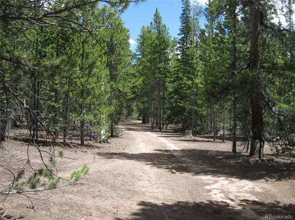 2026 Ryan, Leadville, CO 80461