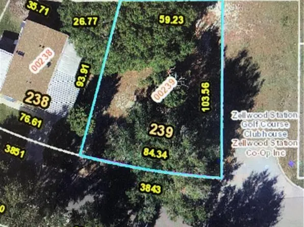 3843 N Citrus Cir #239, Zellwood, FL 32798