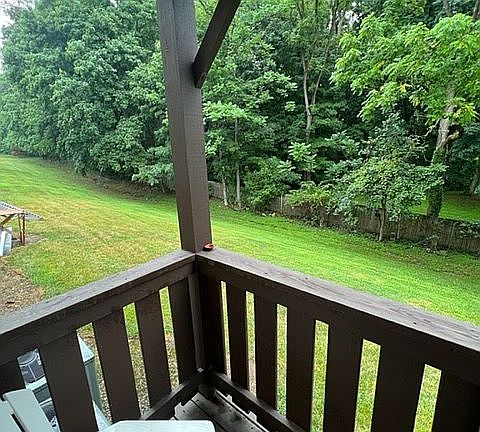 View from Deck