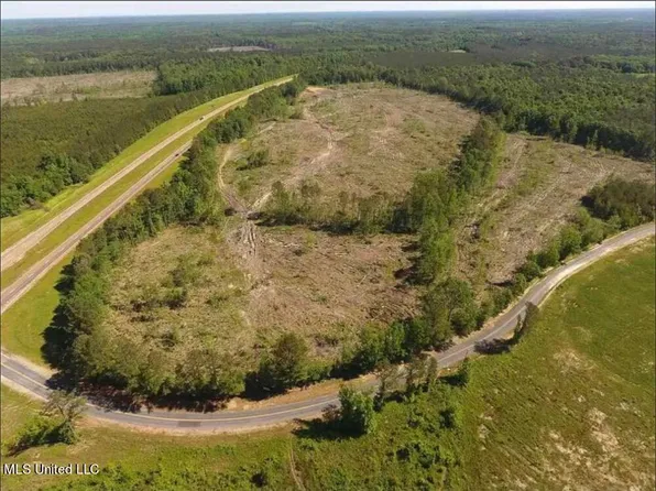 158 Bee Summers Rd, Lena, MS 39094