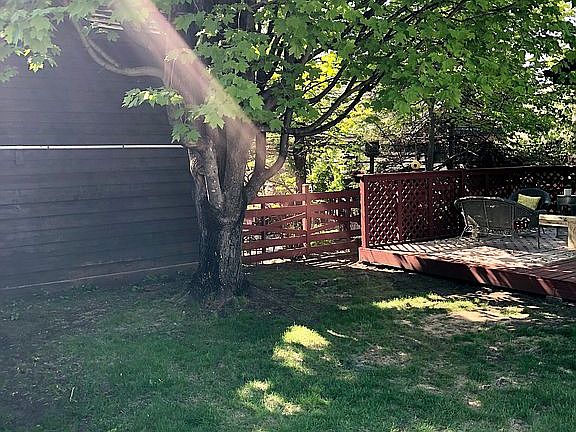 back yard