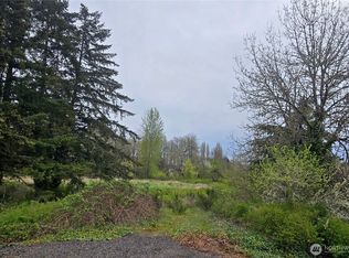198 Chandler Rd, Doty, WA 98539