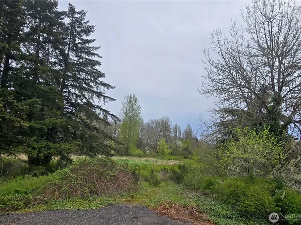 198 Chandler Road, Doty, WA 98539