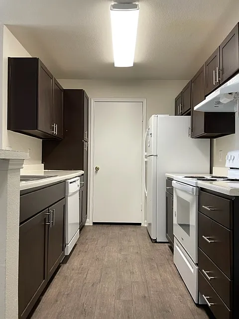 Aquarena Springs Dr, San Marcos — Photo 4