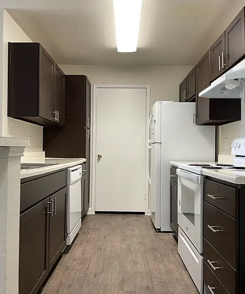 Aquarena Springs Dr — Photo 4