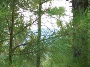 48 Altiplano Cir, Hot Springs Village, AR 71909