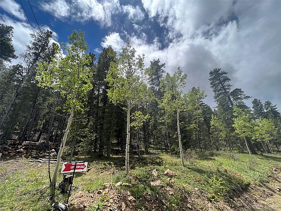 3rd image of Dory Lakes Drive