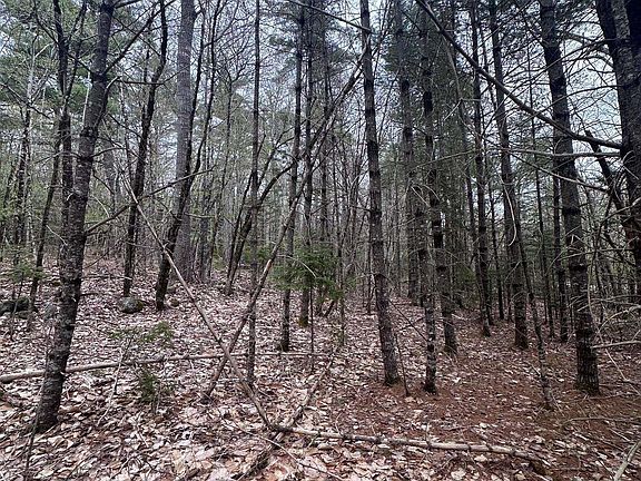 3rd image of Moose Pit Rd Lot 10