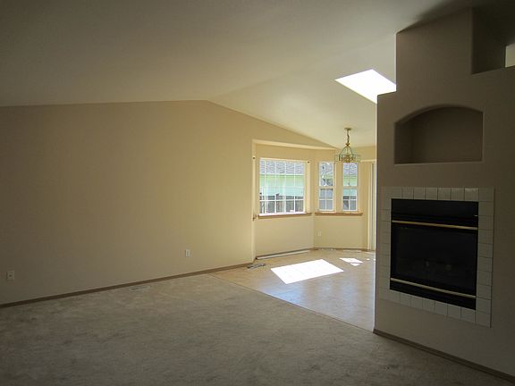 Gas fireplace