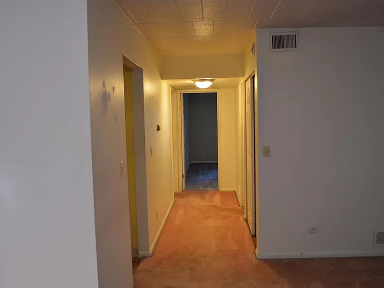 521 Forest Green Dr — Photo 13