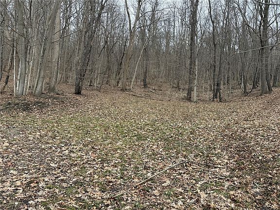 4th image of 1592 Emerson Rd