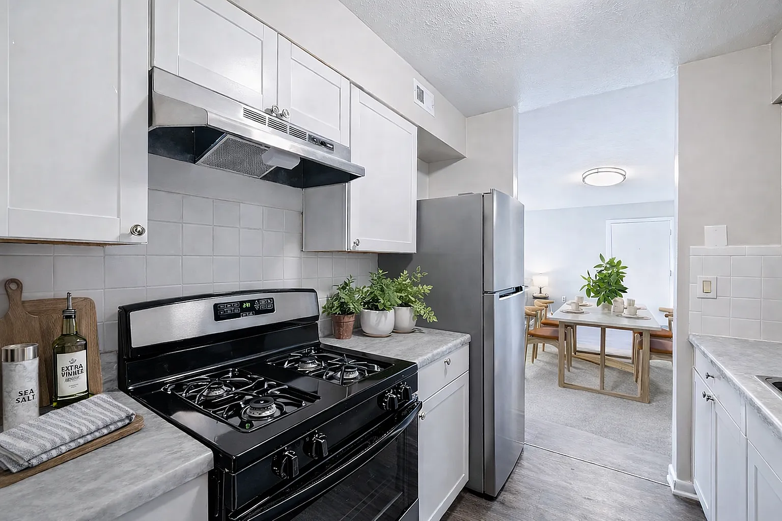 Blue Ridge Apartments — Photo 3