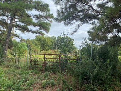 LOT 2 Goldwater, Kemp, TX, 75143