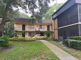 11702 Raintree Lake Ln APT D, Temple Terrace, FL 33617