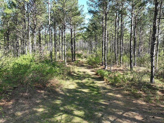 4th image of 0 Cohutta Varnell Rd