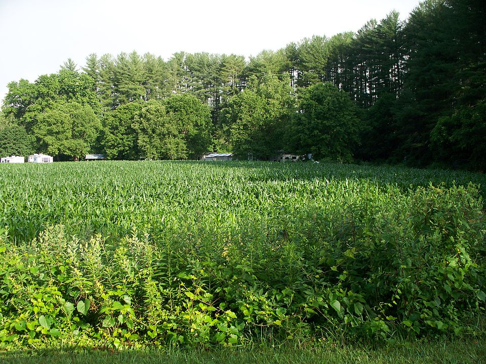 In August you can't see RV's