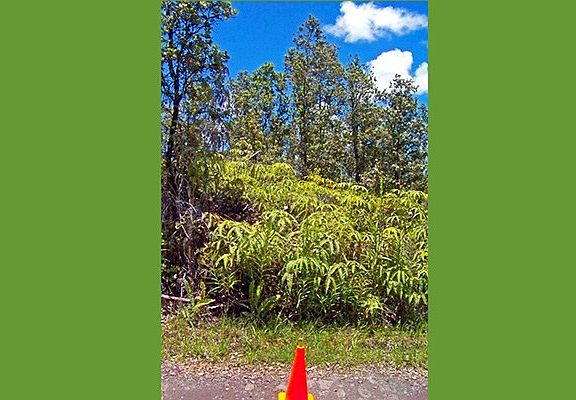 2nd image of Road 5 Lot 3931 Lot 3931