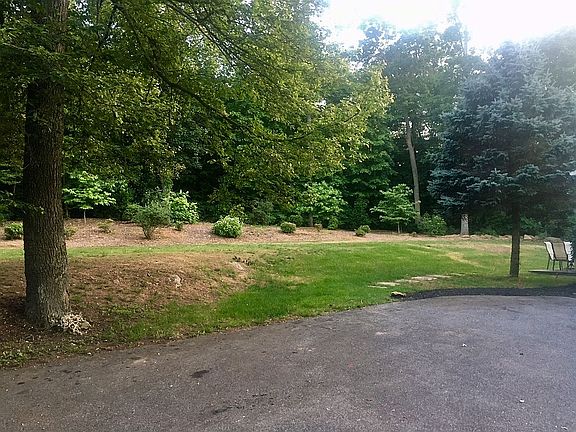 Backyard from driveway