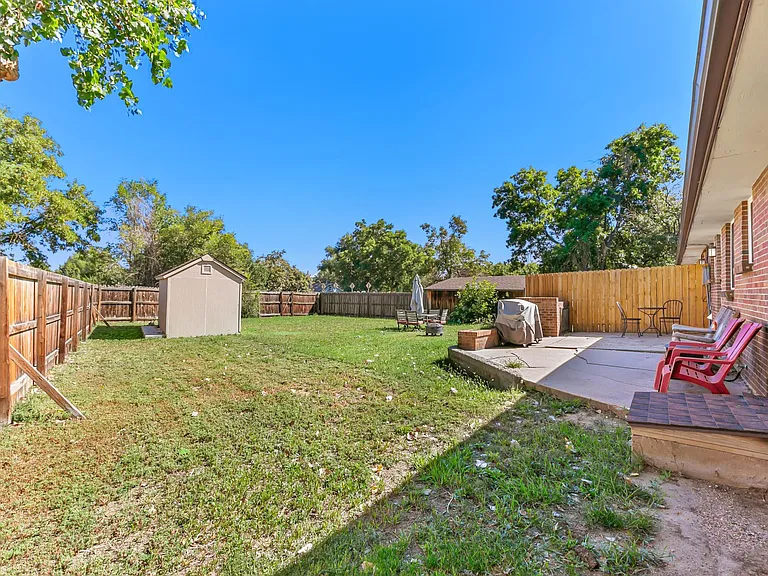 Back Yard 3