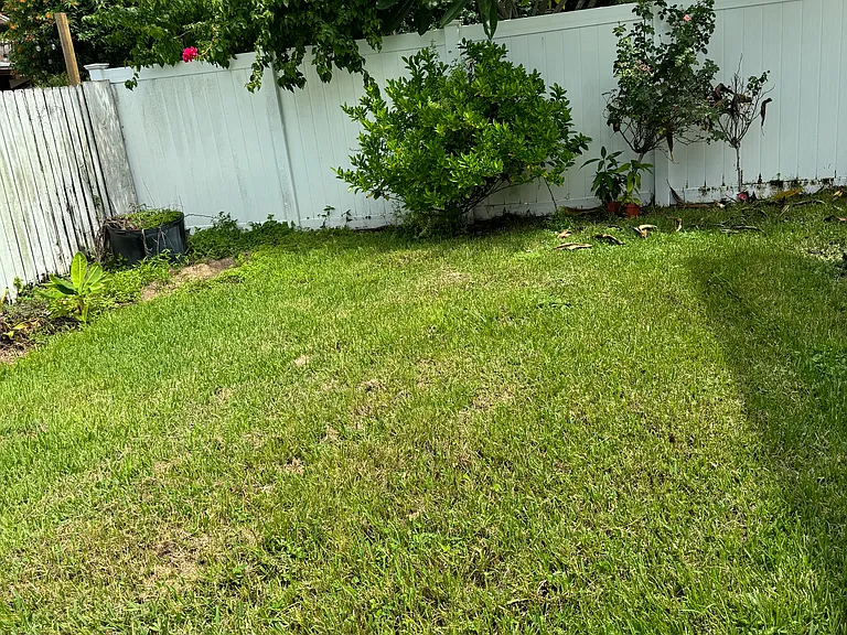 15158 Springview St — Photo 12