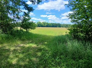 20A N Stephens Rd, Custer, MI 49405
