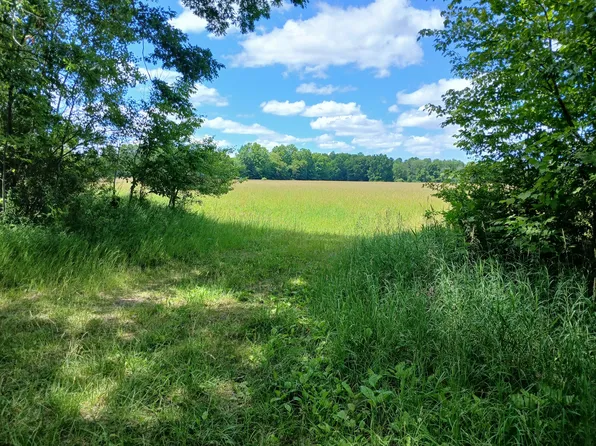 20A N Stephens Rd, Custer, MI 49405