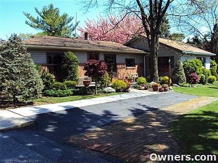 Beautiful View From The Street