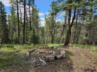 195 Oxford Pl, Florissant, CO 80816