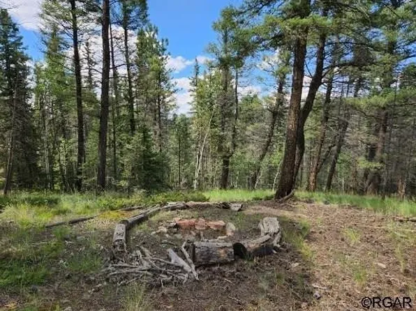 195 Oxford Pl, Florissant, CO 80816