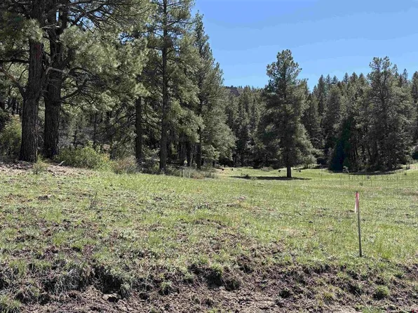 X Winterwood, Pagosa Springs, CO 81147