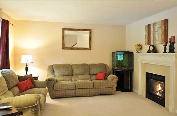 Propane fireplace is vented