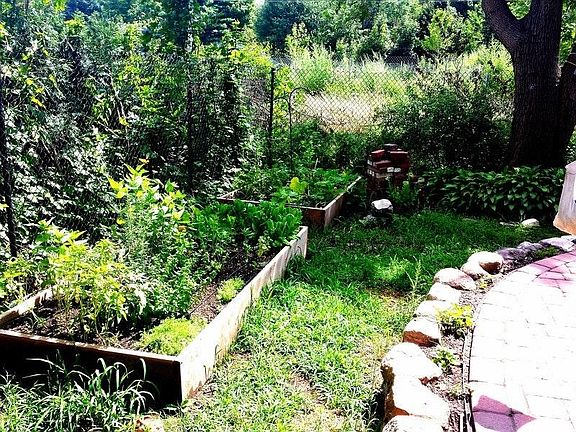 Back patio/garden boxes